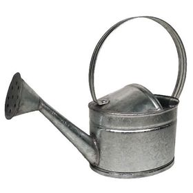 regadera-zinc-1-lt-20056028