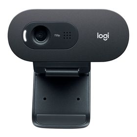 camara-web-usb-logitech-c505-hd-990025035