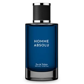 homme-absolu-edt-100ml-by-lucy-anderson-21207036