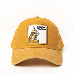 gorra-trucker-cardenal-amarillo-premium-amarilla-animales-21191677