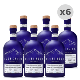 gin-aconcagua-blue-edition-botella-750ml-x-6-unidades-990145347