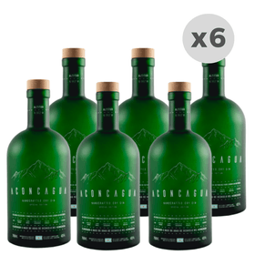 gin-aconcagua-verde-lima---lemongrass-botella-750ml-x-6-unidades-990145354