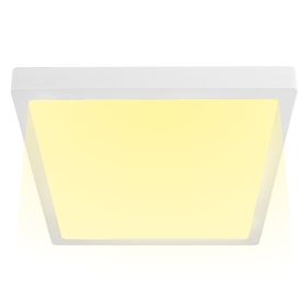 image-66f6456d77734b95bc82f0e2ff3d8642