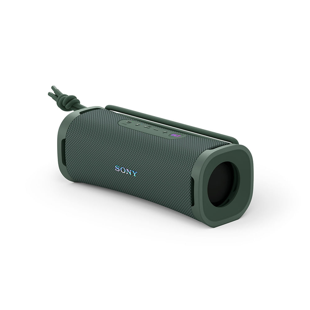 Parlante portátil inalámbrico Sony ULT FIELD 1 Gris