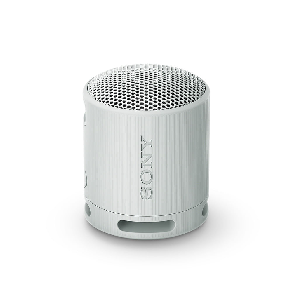 Parlante inalámbrico portátil Sony XB100 Gris