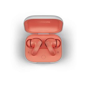 image-ae023c65f93e419886a710376d0afa1f