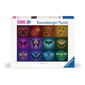 image-18376c63e5814203ae2d8379e5118816