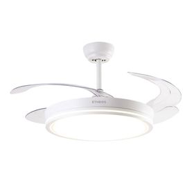 image-fd1300ba605442a1b028489909b7c510