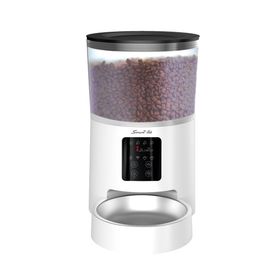 image-10861c5c22a740fc8f3501a543e5aee7