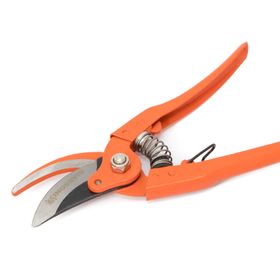 image-f2906414c9fb404eb2158cd154477abe