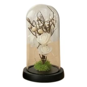 image-97a007faa27747c3b19e9323296c3a1d